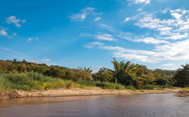 istock Panoramic view beautiful streams on a scenic sunny day with blue sky and green  forest in summer 1369975046