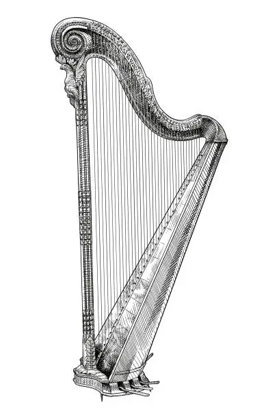 Vector illustration of Vector drawing of a harp