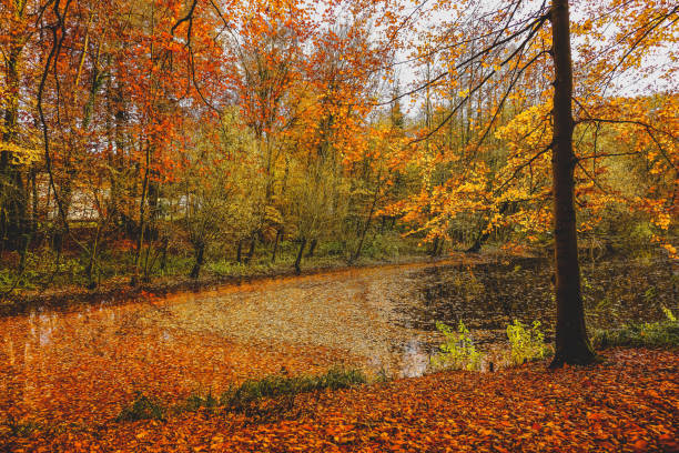 A beautiful lake in Germany, also called \