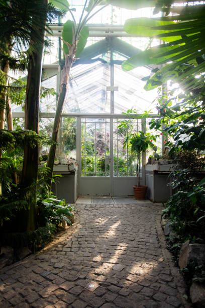 istock Lush botanical garden in the city 1369977581