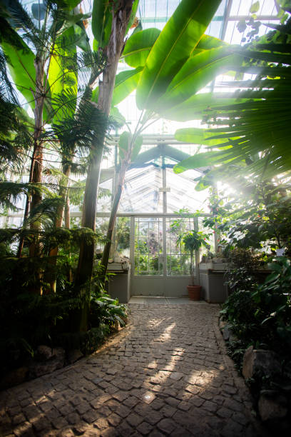 istock Lush botanical garden in the city 1369977584