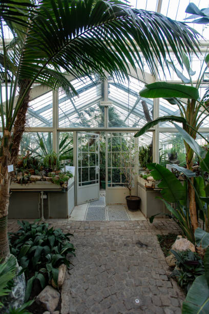 istock Lush botanical garden in the city 1369977588