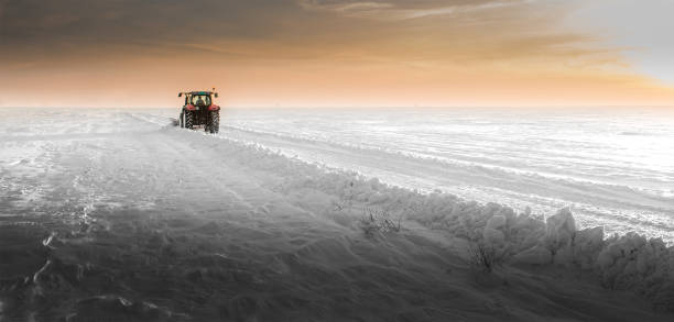 istock Tractor cleaning snow in field 1369977659