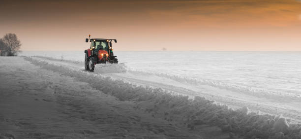 Tractor on a background the winter forest.