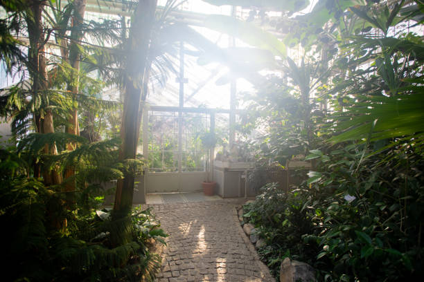 istock Lush botanical garden in the city 1369977699