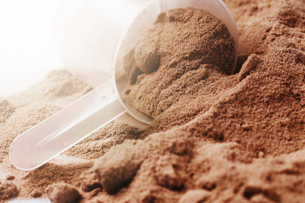 coop with chocolate  whey  protein or mass gainer powder - protein concentrate imagens e fotografias de stock