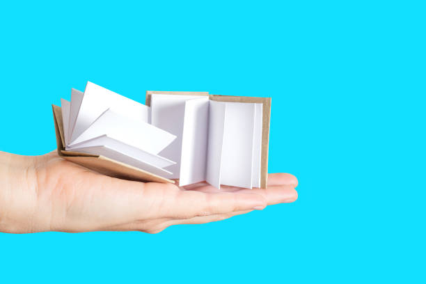 istock Two small books in hand isolated on white background 1369981019