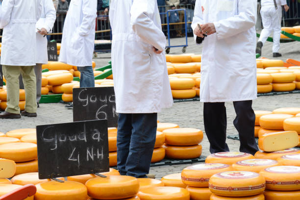 Cheese market in Alkmaar Holland in the Netherlands Cheese market in Alkmaar Holland in the Netherlands cheese dutch culture cheese making people stock pictures, royalty-free photos & images