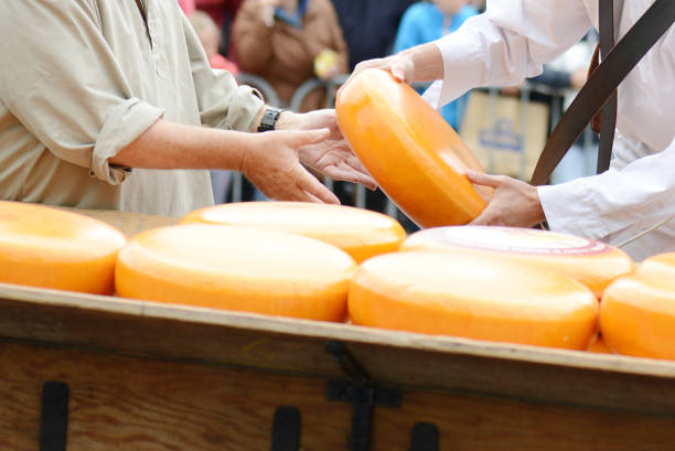 Cheese market in Alkmaar Holland in the Netherlands Cheese market in Alkmaar Holland in the Netherlands cheese dutch culture cheese making people stock pictures, royalty-free photos & images