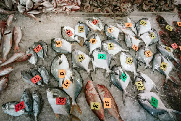 Photo of fish for sale, Hong Kong fish market
