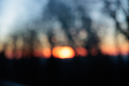 Abstract blurred sundown and bare trees silhouettes background, natural colors