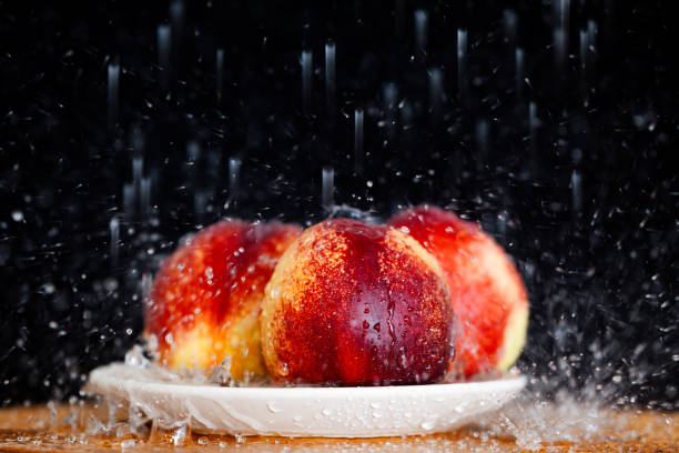 Still life of three ripe peaches under splashes of water on a black background