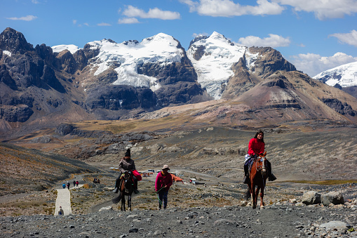 Pack-horses used in Pastoruri Glacier, at Huascaran National Park, Huaraz, Peru.