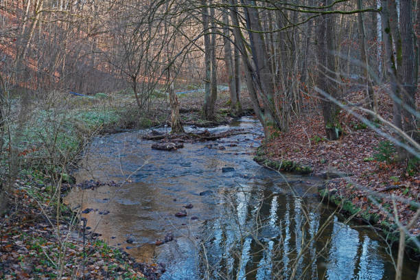 istock winter nature in the mill valley in Eisenberg 1370000773