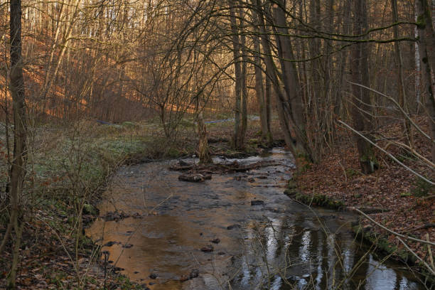istock winter nature in the mill valley in Eisenberg 1370000969