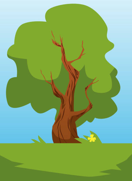 ilustrações de stock, clip art, desenhos animados e ícones de green tree at the park cartoon vector illustration. oak tree old trunk with green leaf and summer season landscape. - oak leaf leaf oak tree spring