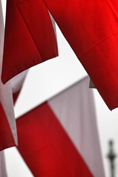 istock Polish flags waving on the wind 1370002442