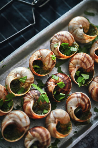 istock Preparing French Escargot Snails with Herb Butter 1370003408