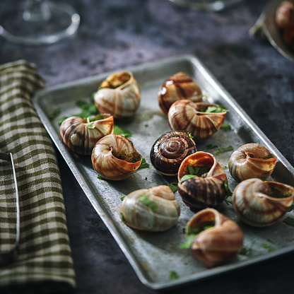 Preparing French Escargot Snails with Herb Butter