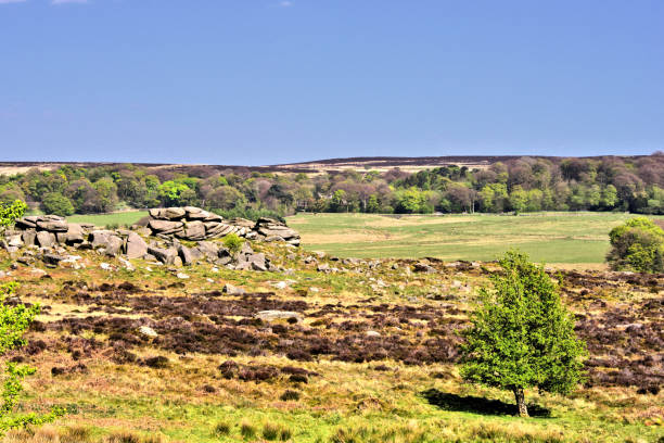istock Owler Tor Near Hathersage Booths 1370003428