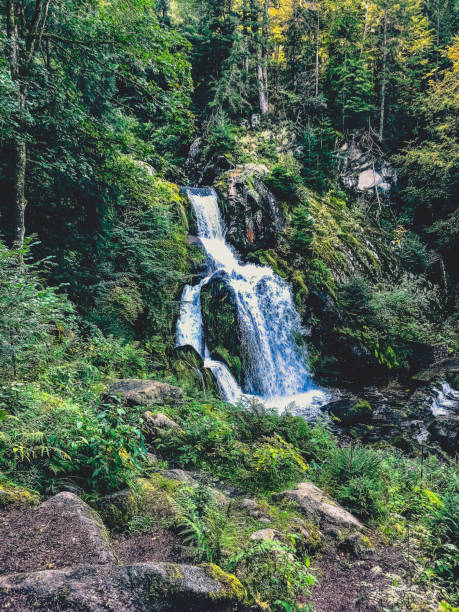 istock A small stony river with waterfalls in the Black Forest. 1370004300