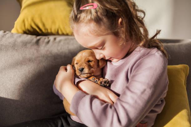 自宅で彼女の子犬と小さな女の子 - child house dog bed ストックフォトと画像