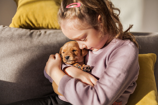 Close up of Little girl with her puppy at home