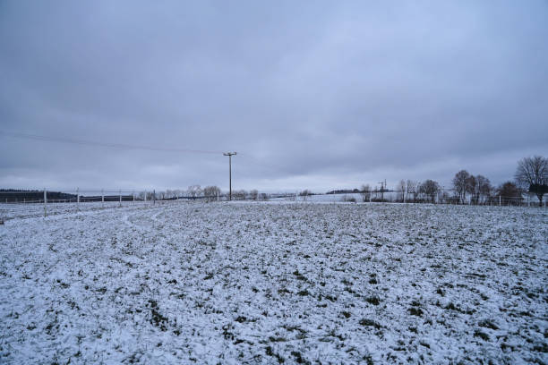 istock Rolled hay bales on a wintry field 1370008451
