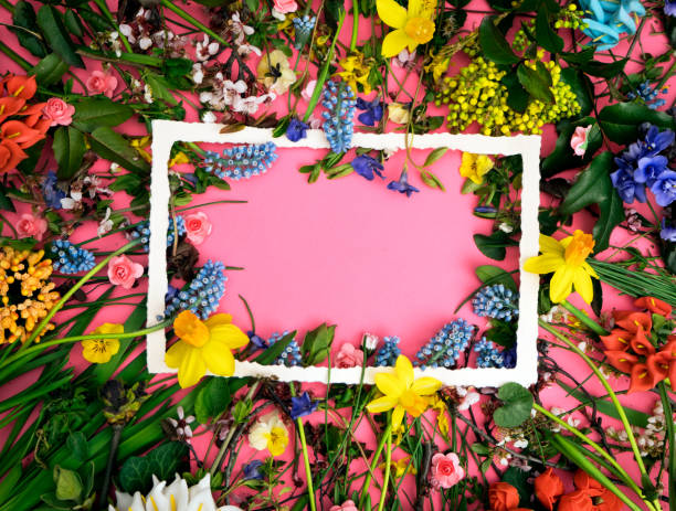 istock Spring flowers composition on pastel pink background 1370008514