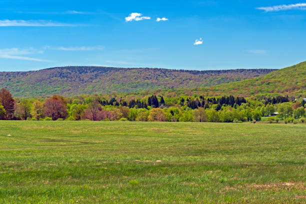 istock West Virginia Counryside in the Spring 1370009930