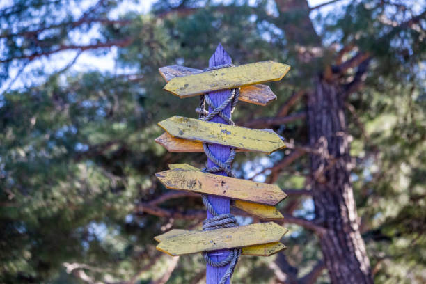 istock Old wooden signposts in arrow shape 1370013454
