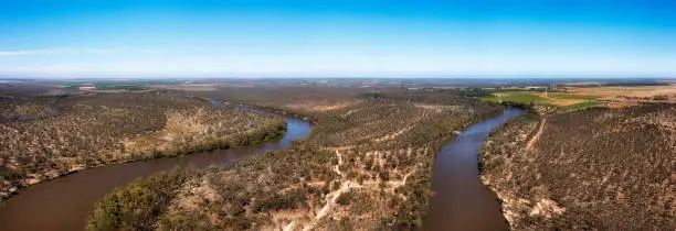 Turns of Murray river watercourses through flat plains of Australian riverina agriculture region in wide aerial landscape panorama.