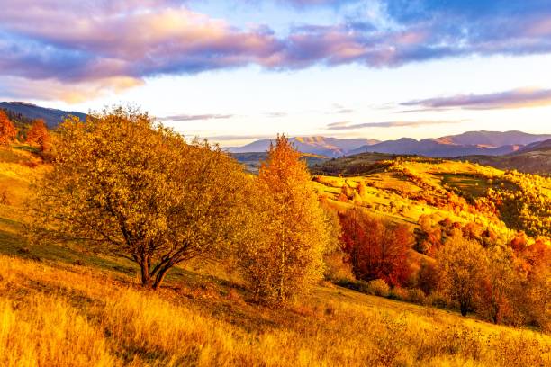 istock Mountain ridge with terracotta forests under cloudy sky 1370021989