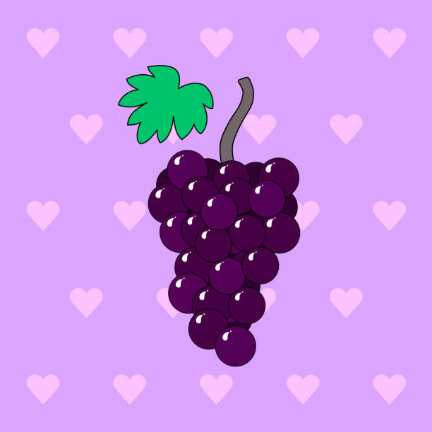 köstliche violette trauben auf herzhintergrund. - grape heart shape fruit bunch stock-grafiken, -clipart, -cartoons und -symbole
