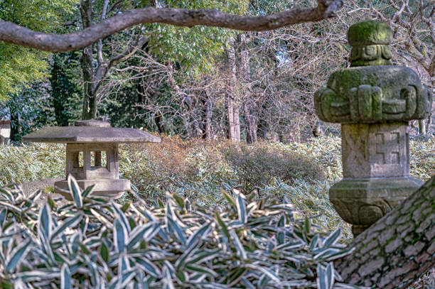 View of a large park, Tokyo.