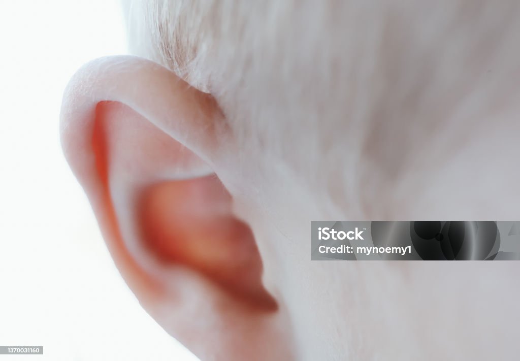 Baby ear Ear of little boy child macro close up Adult Stock Photo