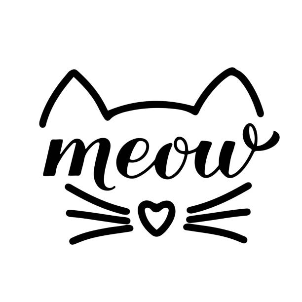 Meow calligraphy hand lettering with cute cat face. Pet lover quote. Vector template for typography poster, banner, sticker, etc Meow calligraphy hand lettering with cute cat face. Pet lover quote. Vector template for typography poster, banner, sticker, etc. whisker stock illustrations