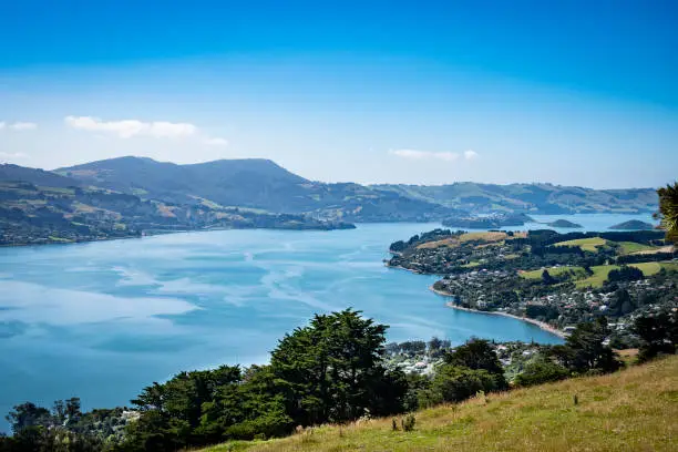 Photo of Landscape of Otago Peninsula, New Zealand