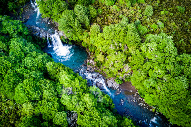 Tawhai Falls in Tongariro national park, New Zealand Aerial view of the Tawhai Falls in Tongariro national park, New Zealand tongariro national park photos stock pictures, royalty-free photos & images