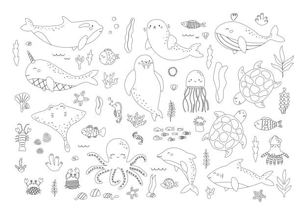 illustrations, cliparts, dessins animés et icônes de ensemble vectoriel d’animaux et de plantes marins - narval illustrations