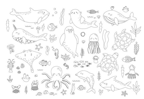 bildbanksillustrationer, clip art samt tecknat material och ikoner med vector set of sea animals and plants - animal doodle