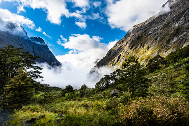 istock Panoramic Road in New Zealand 1370047643