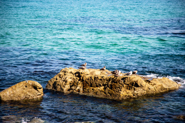 istock East sea, Kangwondo 1370052646