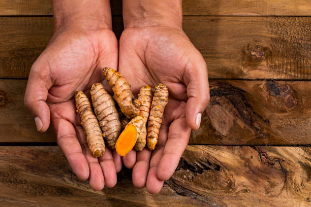 istock Fresh turmeric roots in hands - Curcuma longa 1370054188