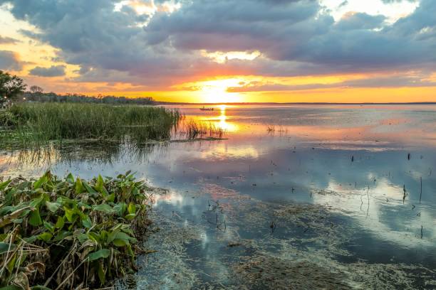 Sunset over wetlands on a lake in Florida stock photo