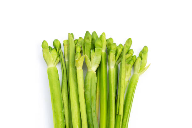 istock Limnocharis flava on white background. 1370055489