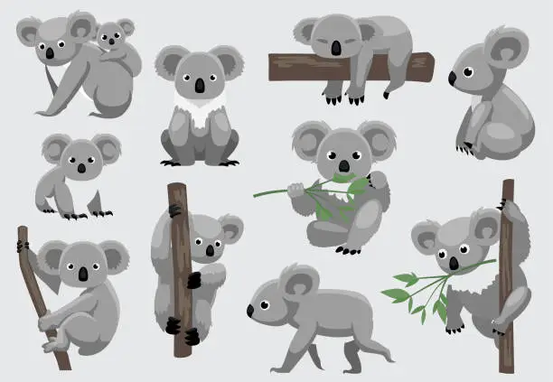 Vector illustration of Cute Koala Ten Poses Cartoon Vector Illustration