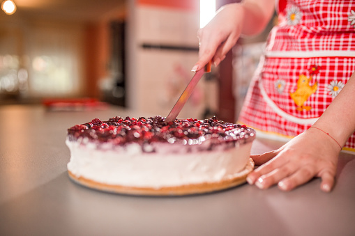 Young beautiful woman making cheesecake in the kitchen