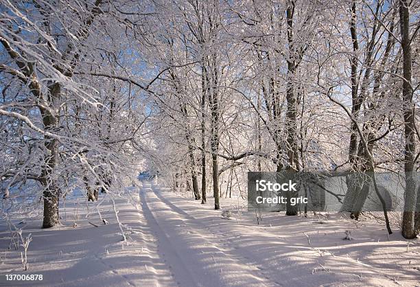 Zimą Road - zdjęcia stockowe i więcej obrazów Bez ludzi - Bez ludzi, Chłodny, Droga