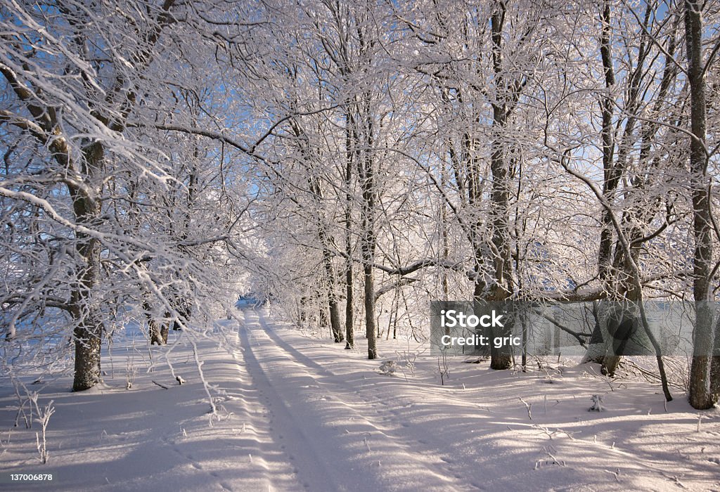 Estrada de inverno - Foto de stock de Azul royalty-free